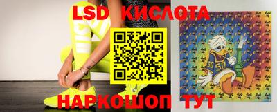 дмт Краснознаменск
