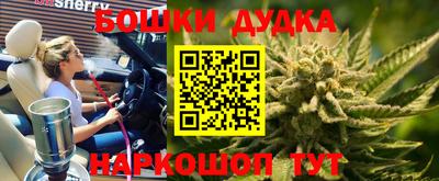 дмт Краснознаменск
