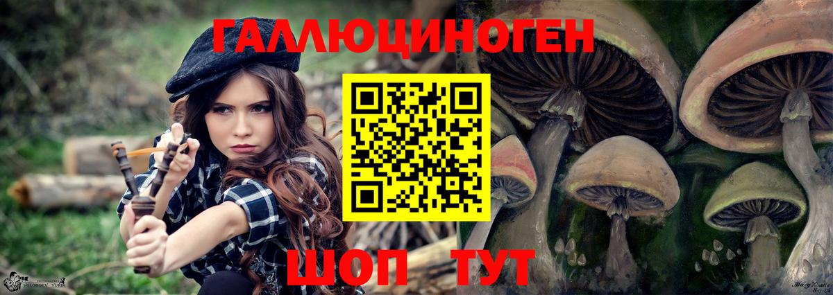 Псилоцибиновые грибы Psilocybine cubensis  Вход с VPN  Югорск 