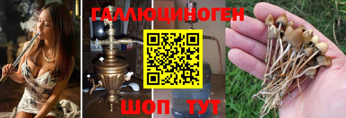 Галлюциногенные грибы MAGIC MUSHROOMS Югорск